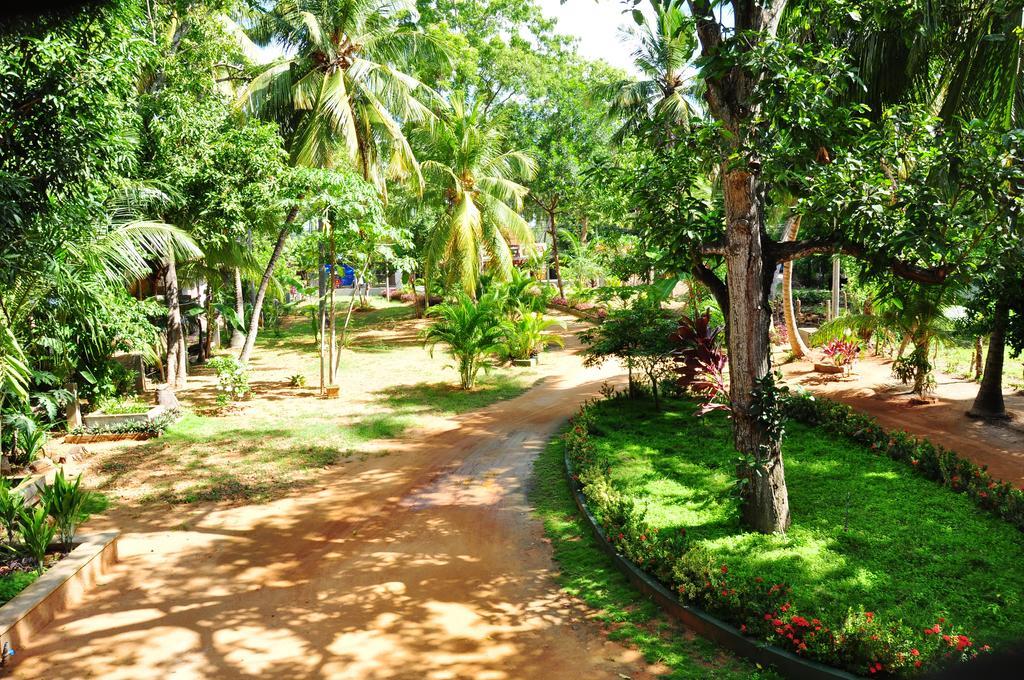 Leopard City Hostel Tissamaharama Exterior photo